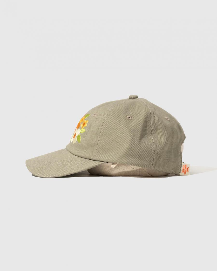 6 PANEL CAP