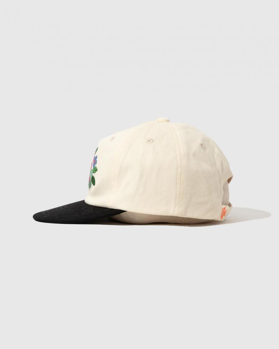 5 PANEL CAP