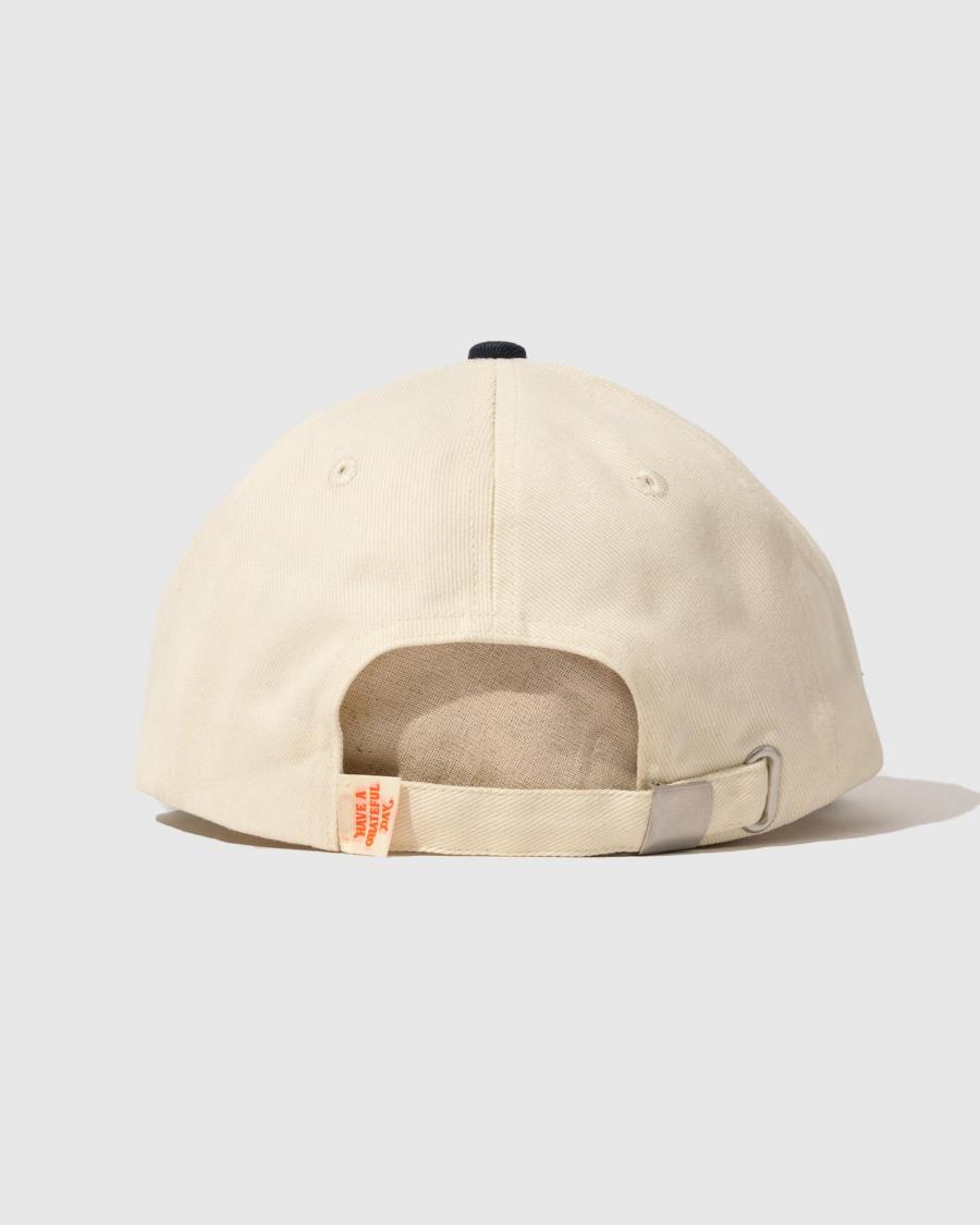 5 PANEL CAP