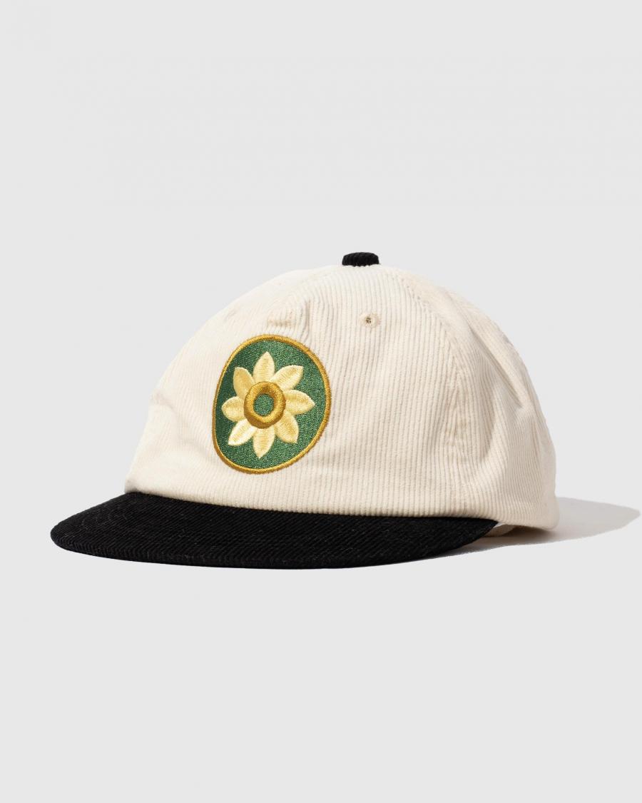 5 PANEL CAP -HELIOTROPISM