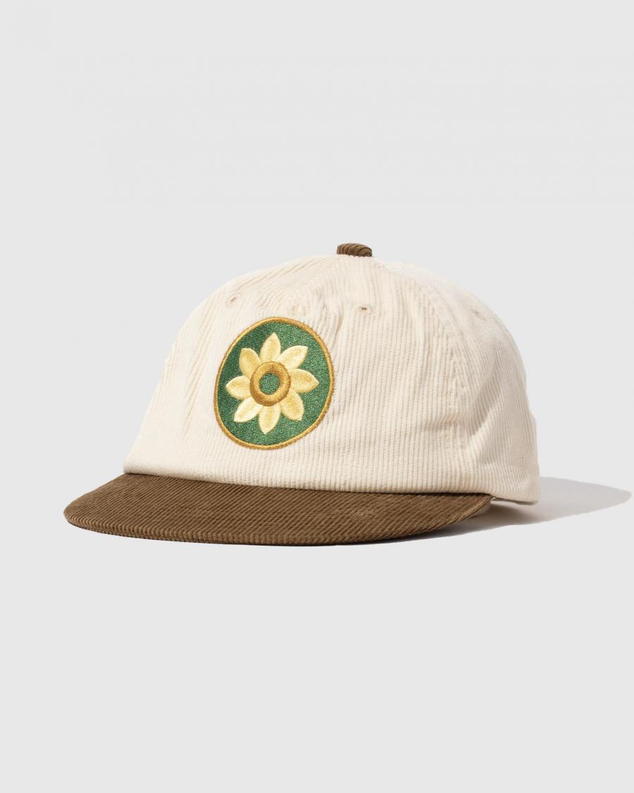 5 PANEL CAP -HELIOTROPISM