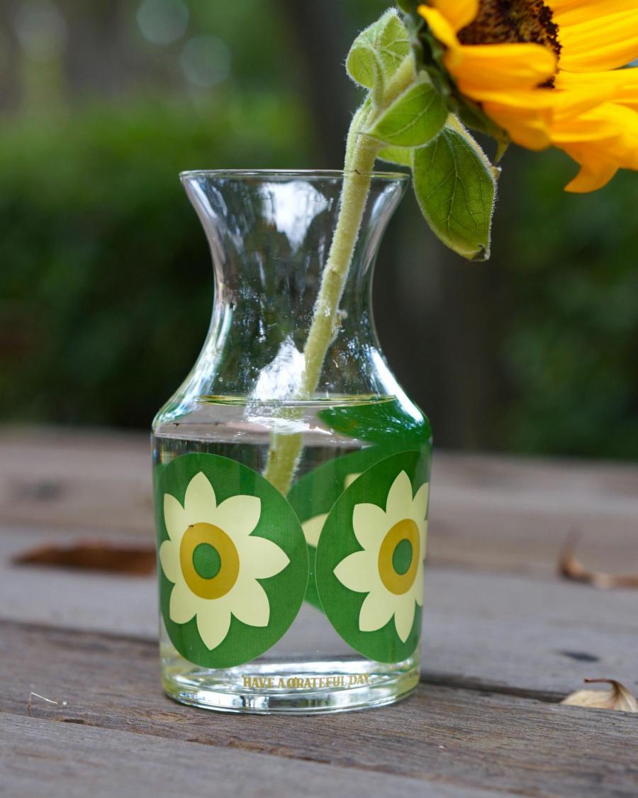 FLOWER VASE -HELIOTROPISM