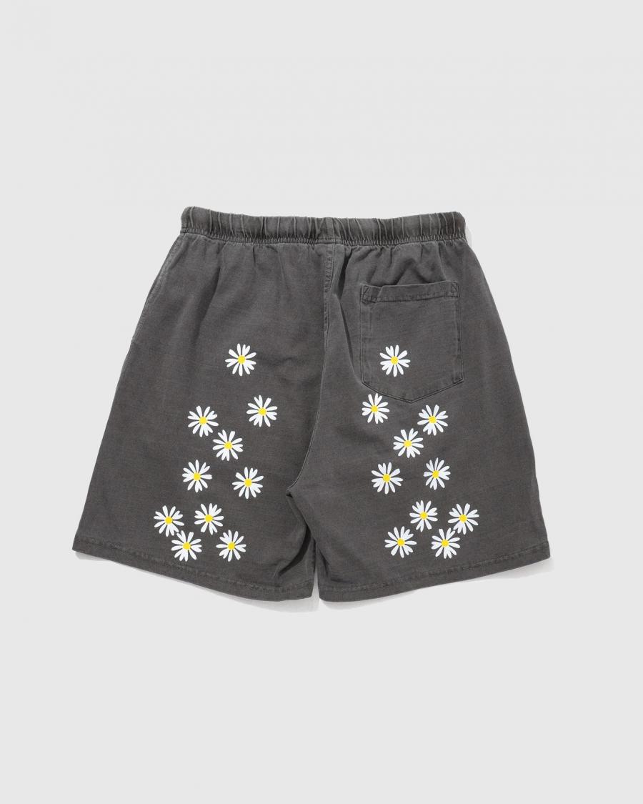 EASY SHORTS