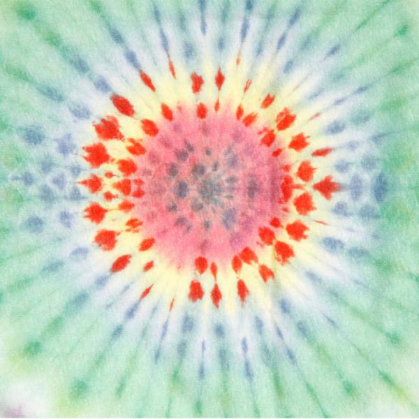 China Cat Sunflower S/SL TEE