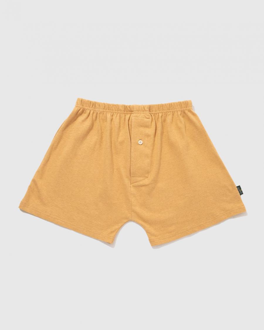 SUNNY UNDER SHORTS