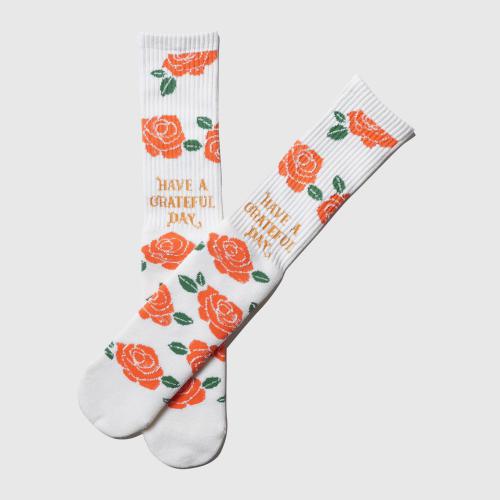 SOCKS -ROSE