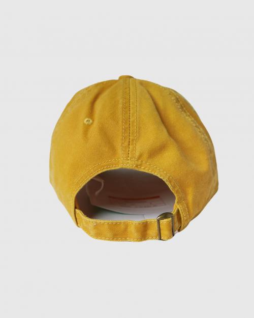 6 PANEL CAP