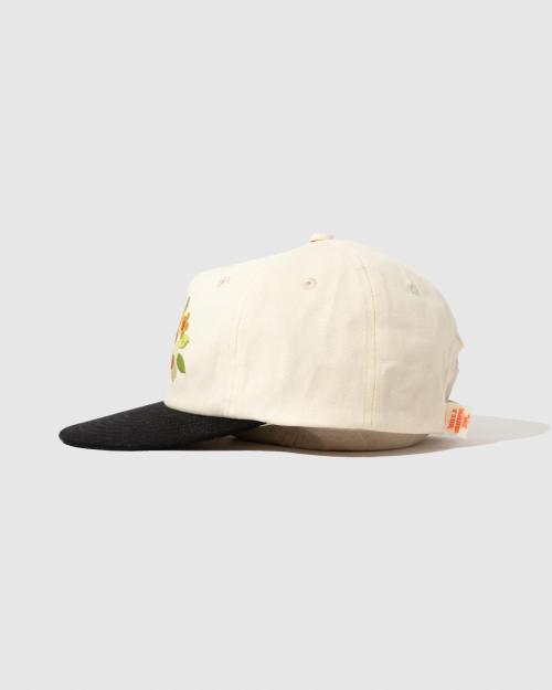 5 PANEL CAP
