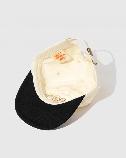 5 PANEL CAP