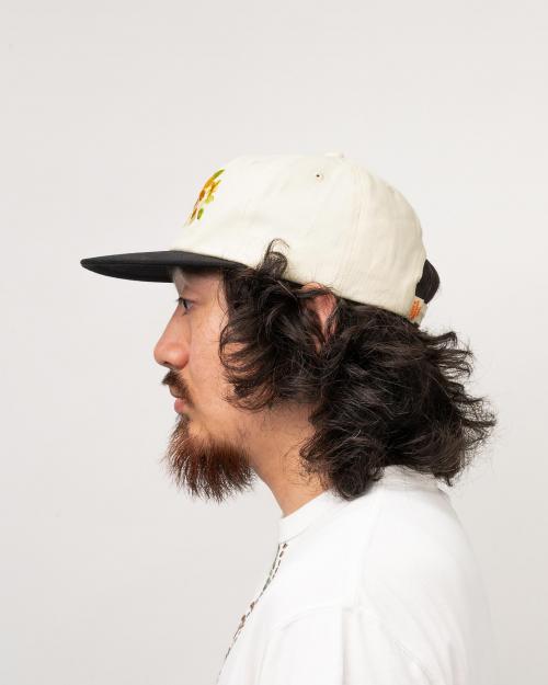 5 PANEL CAP