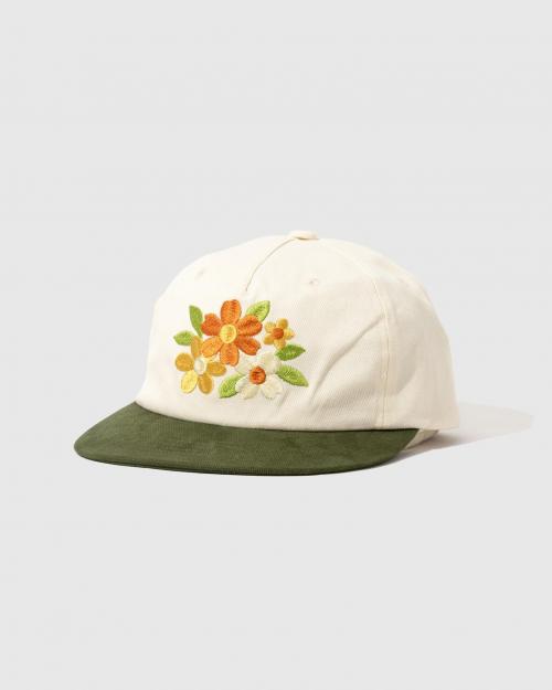ORANGE/OLIVE GREEN