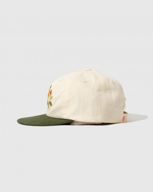 5 PANEL CAP