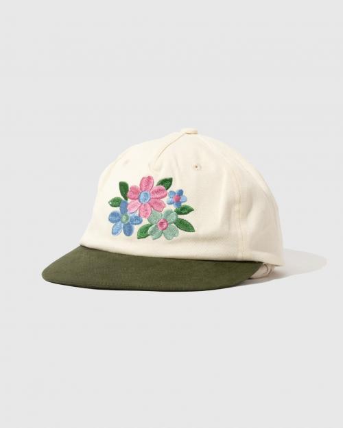 PURPLE/OLIVE GREEN