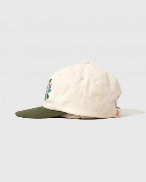 5 PANEL CAP