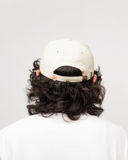 5 PANEL CAP