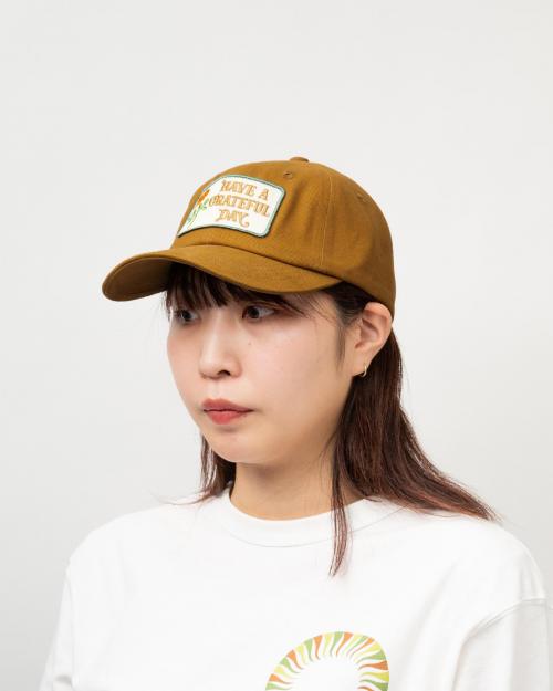 6 PANEL CAP