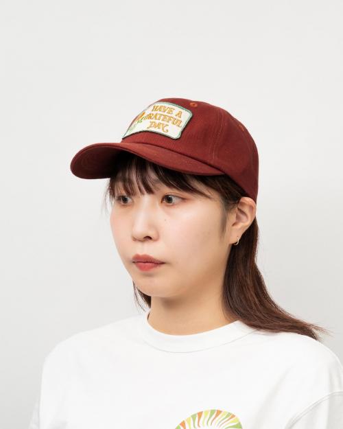 6 PANEL CAP