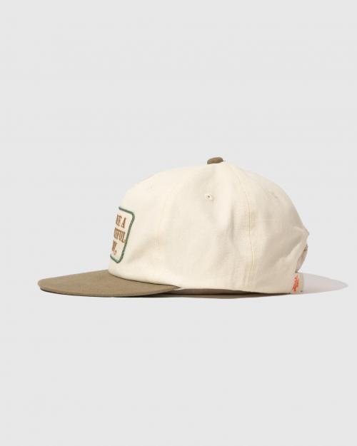 5 PANEL CAP