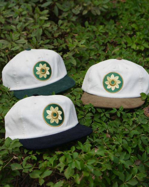 5 PANEL CAP -HELIOTROPISM