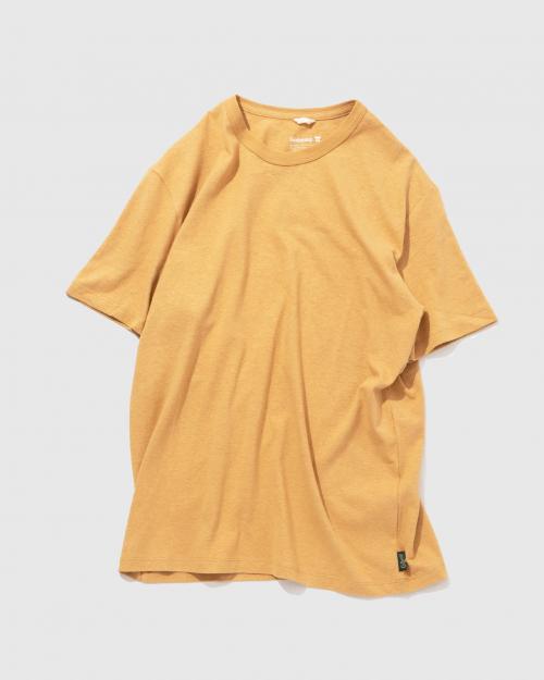 BASIC S/SL TEE