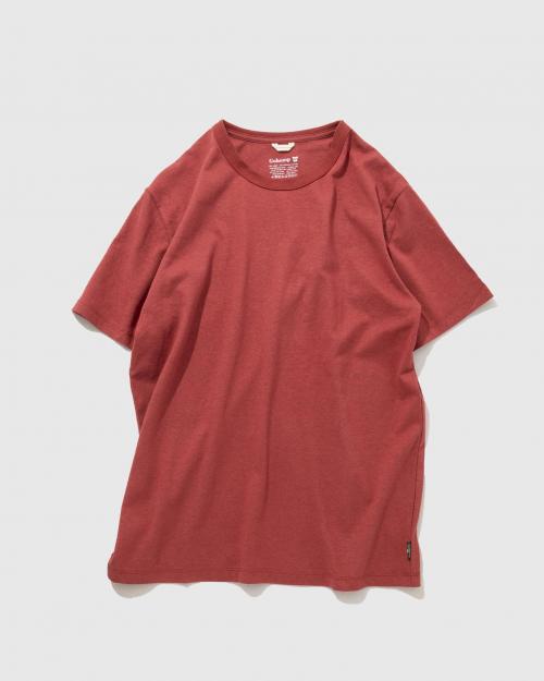 BASIC S/SL TEE