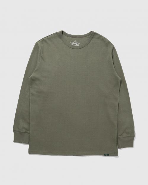 OLIVE BRANCH