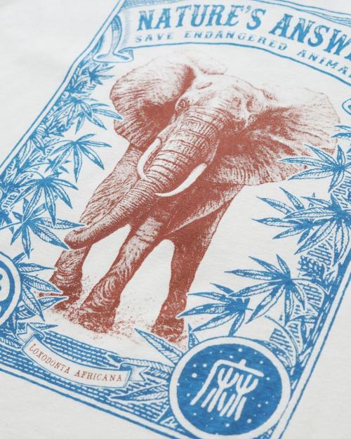 ELEPHANT WIDE PK TEE