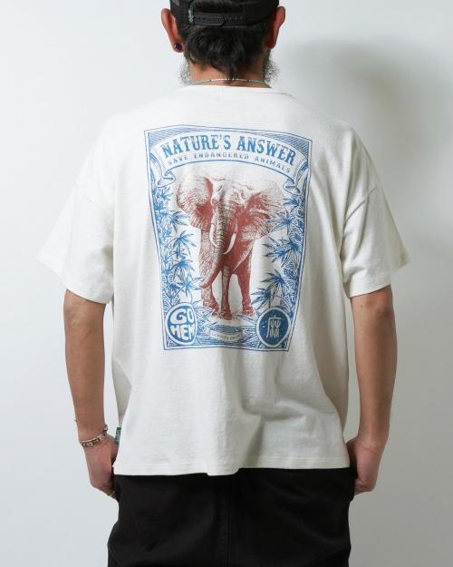 ELEPHANT WIDE PK TEE