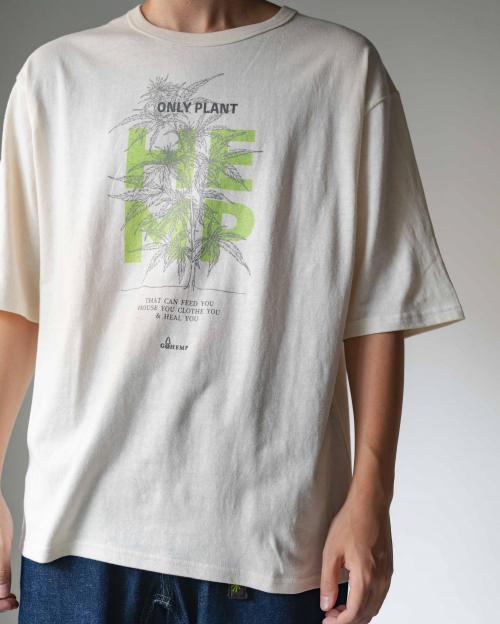 ONLY PLANT HALF SLEEVE WIDE FITS TEE