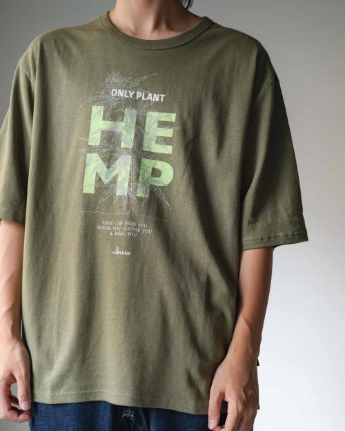 ONLY PLANT HALF SLEEVE WIDE FITS TEE