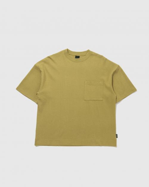 CEDAR GREEN