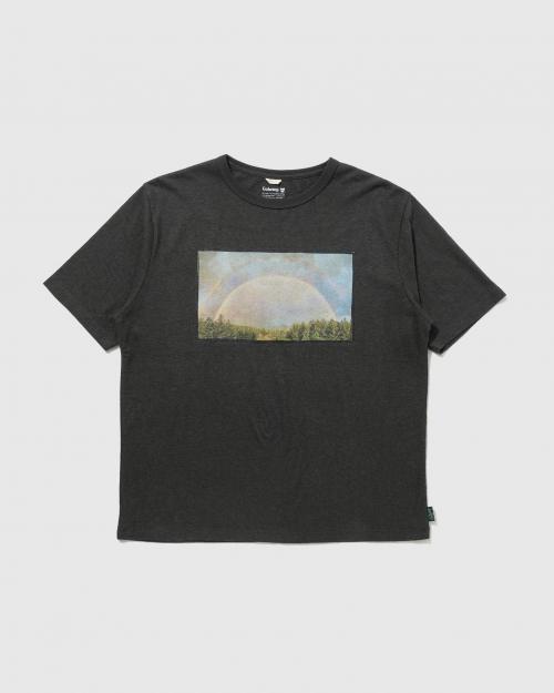 DOUBLE RAINBOW WIDE FITS TEE