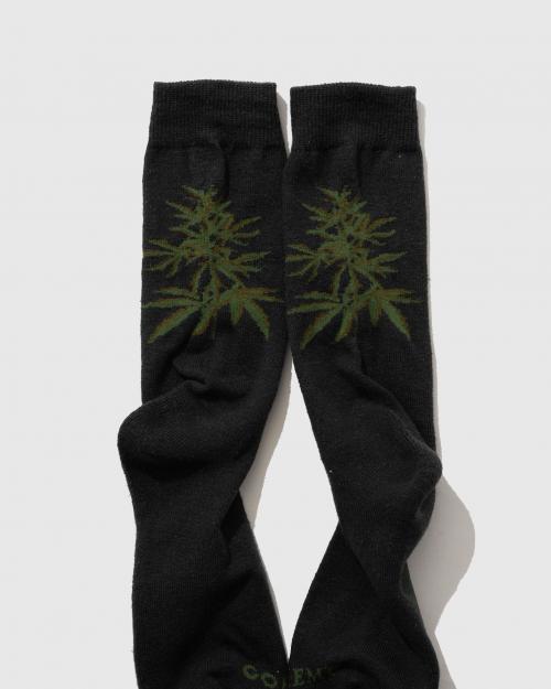 HEMP CREW SOCKS