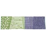 HEMP STORY TENUGUI／CHAORAS × GOHEMP