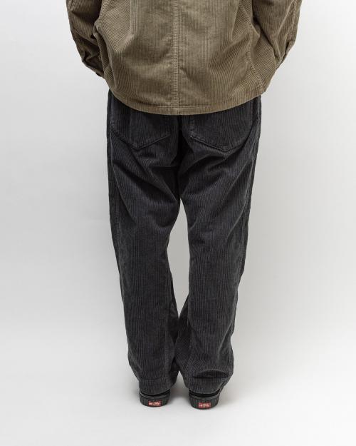 TRAVELER EASY PANTS