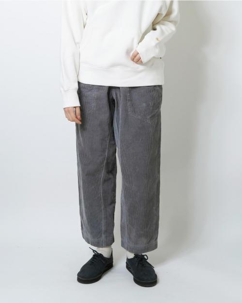 TRAVELER EASY PANTS