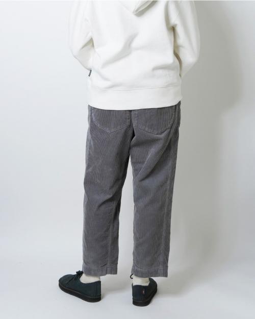 TRAVELER EASY PANTS