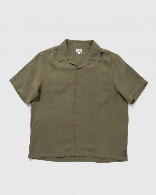 MOSS GREEN