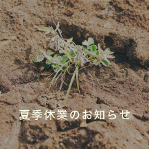 夏季休業のお知らせ